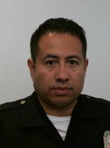 VACA JOSE - 37282.jpg